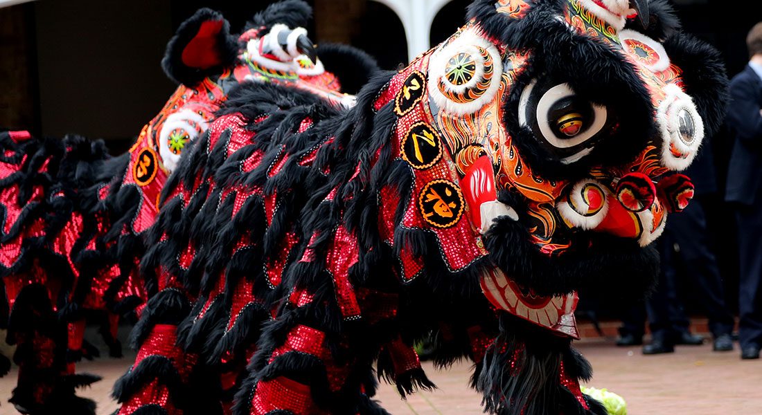 Featured image for “Chinese Lion Dance by May Wang”