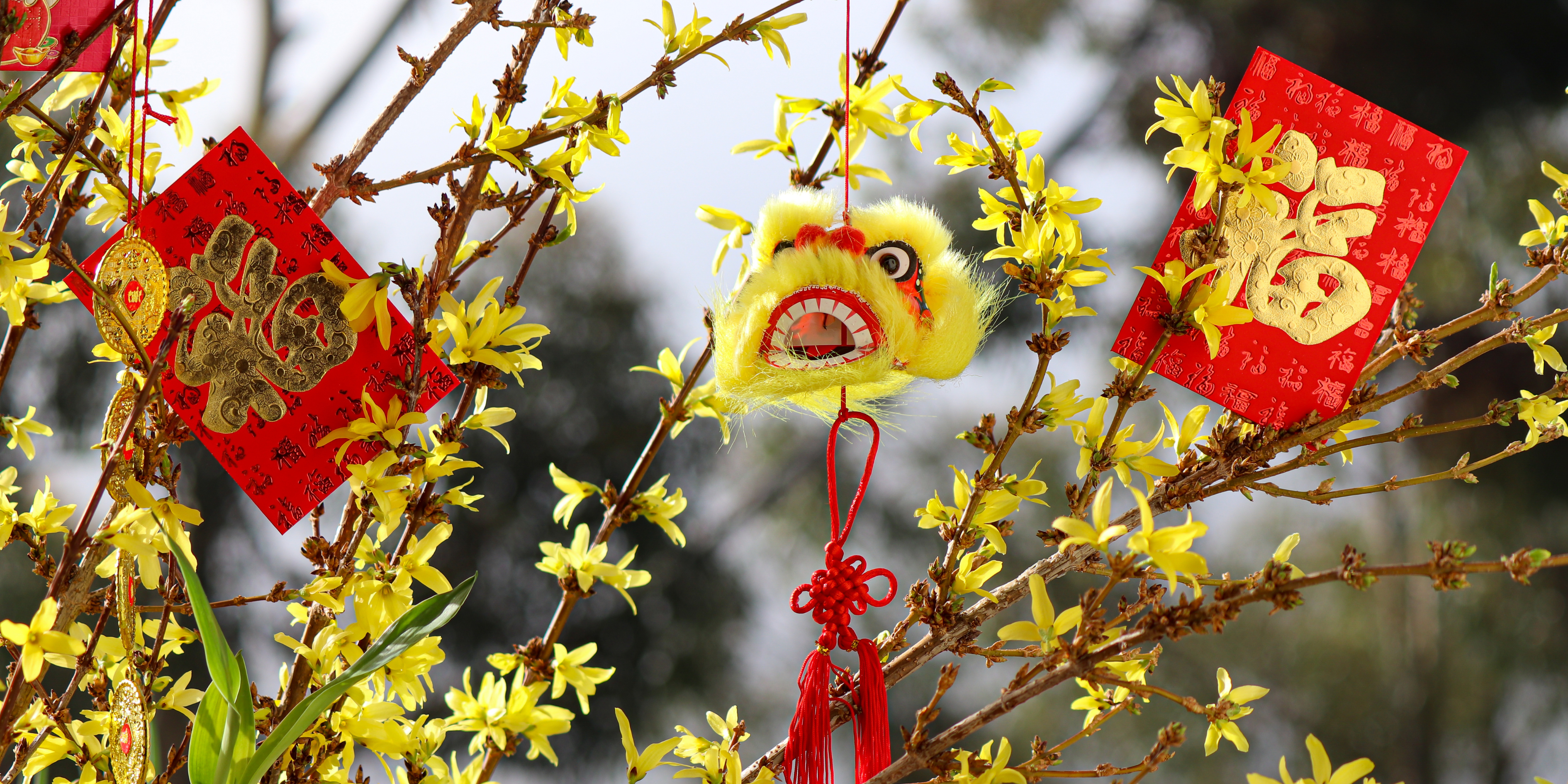 Featured image for “6 Ways of Celebrating Lunar New Year in the Classroom”
