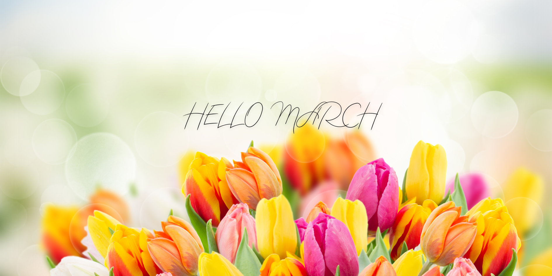 Featured image for “8 Dates to Celebrate in March ”